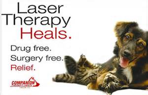 Arthritis treatment with Companion Laser Therapy