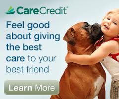 care_credit