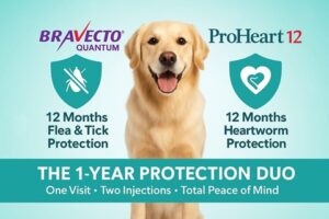 Bracevto Quantum and ProHeart12